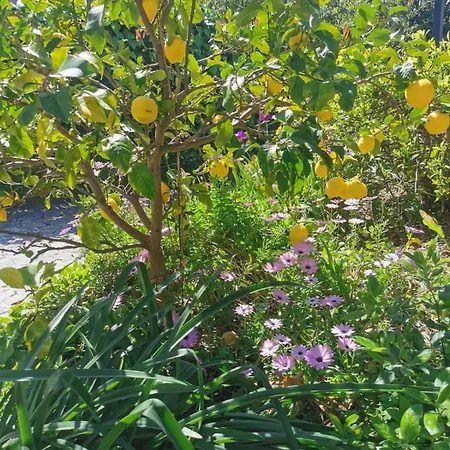 U Casetta * 파트리모니오