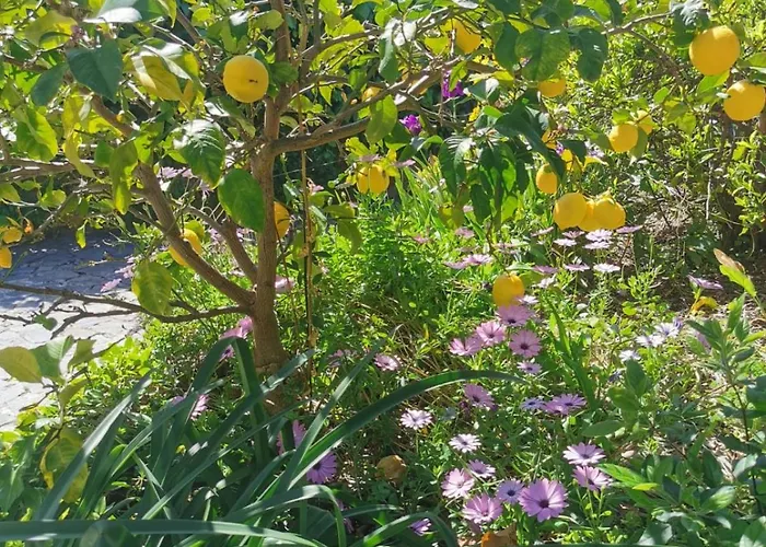 U Casetta * Patrimonio